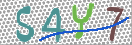 تصویر کد امنیتی